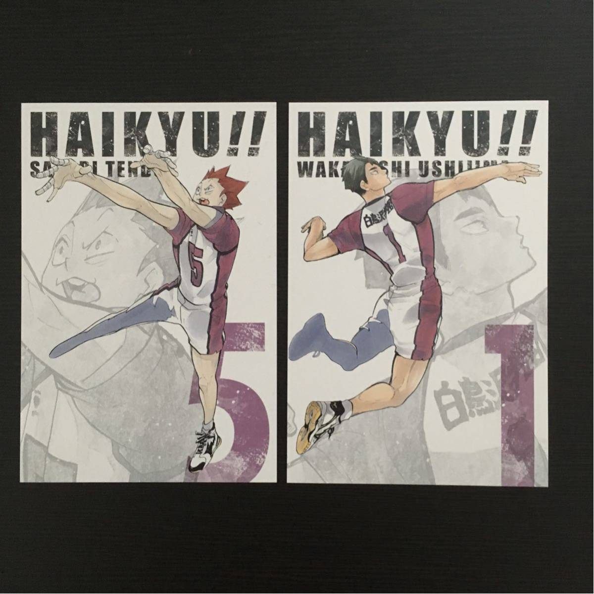 ハイキュー!! 原画展 ゲンガ×タイカン グッズ購入特典 ポストカード 天童 牛島_1