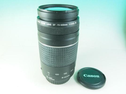 カメラ 【美品】Canon EF 75-300mm 1:4-5.6 III USM