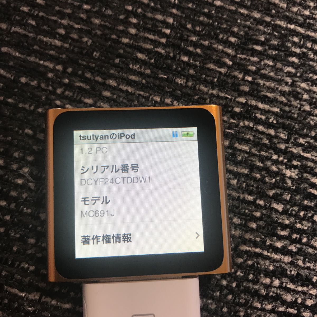 iPod nano 8G