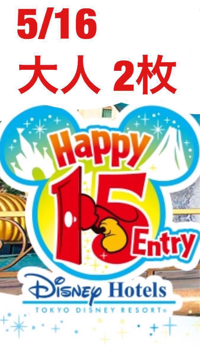 5月16日 ディズニー ハッピー15エントリー 通行証 大人2枚