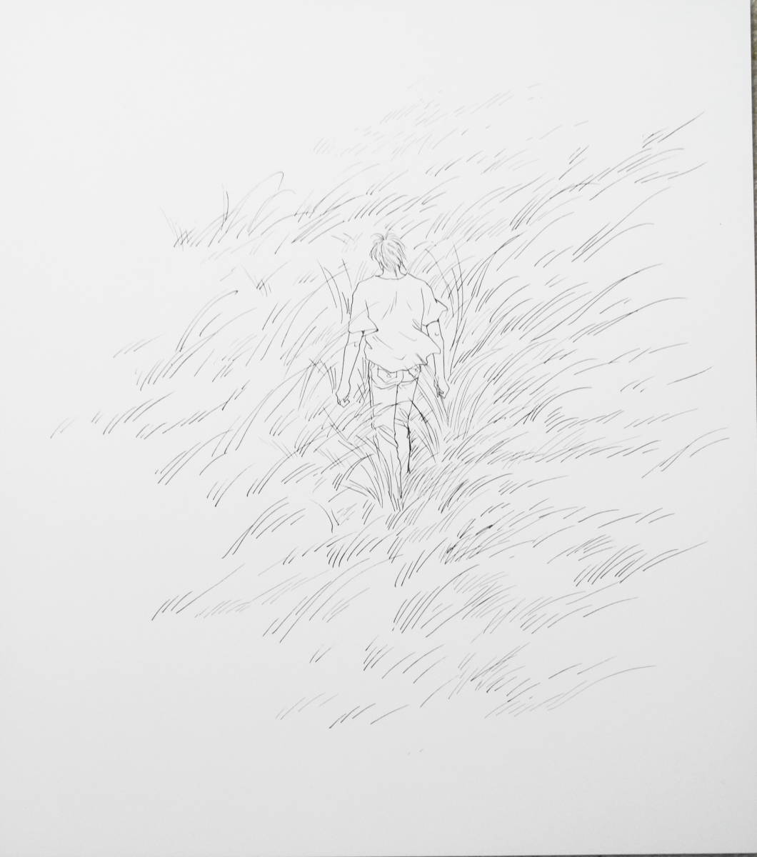 吉田秋生 【イラスト入り直筆サイン色紙】BANANA FISH アッシュ