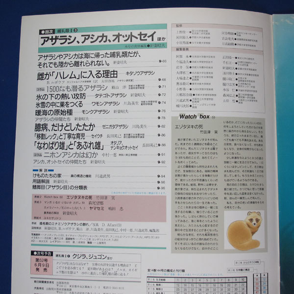 週刊　朝日百科★動物たちの地球　51★哺乳類Ⅱー3★アザラシ・アシカ・オットセイ ほか★朝日新聞社★中古_3