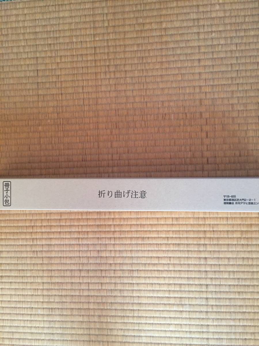 橋本梨菜 等身大ポスター エンタメ 日本一黒いグラビアアイドルが赤のビキニ 誘惑 は行 売買されたオークション情報 Yahooの商品情報をアーカイブ公開 オークファン Aucfan Com