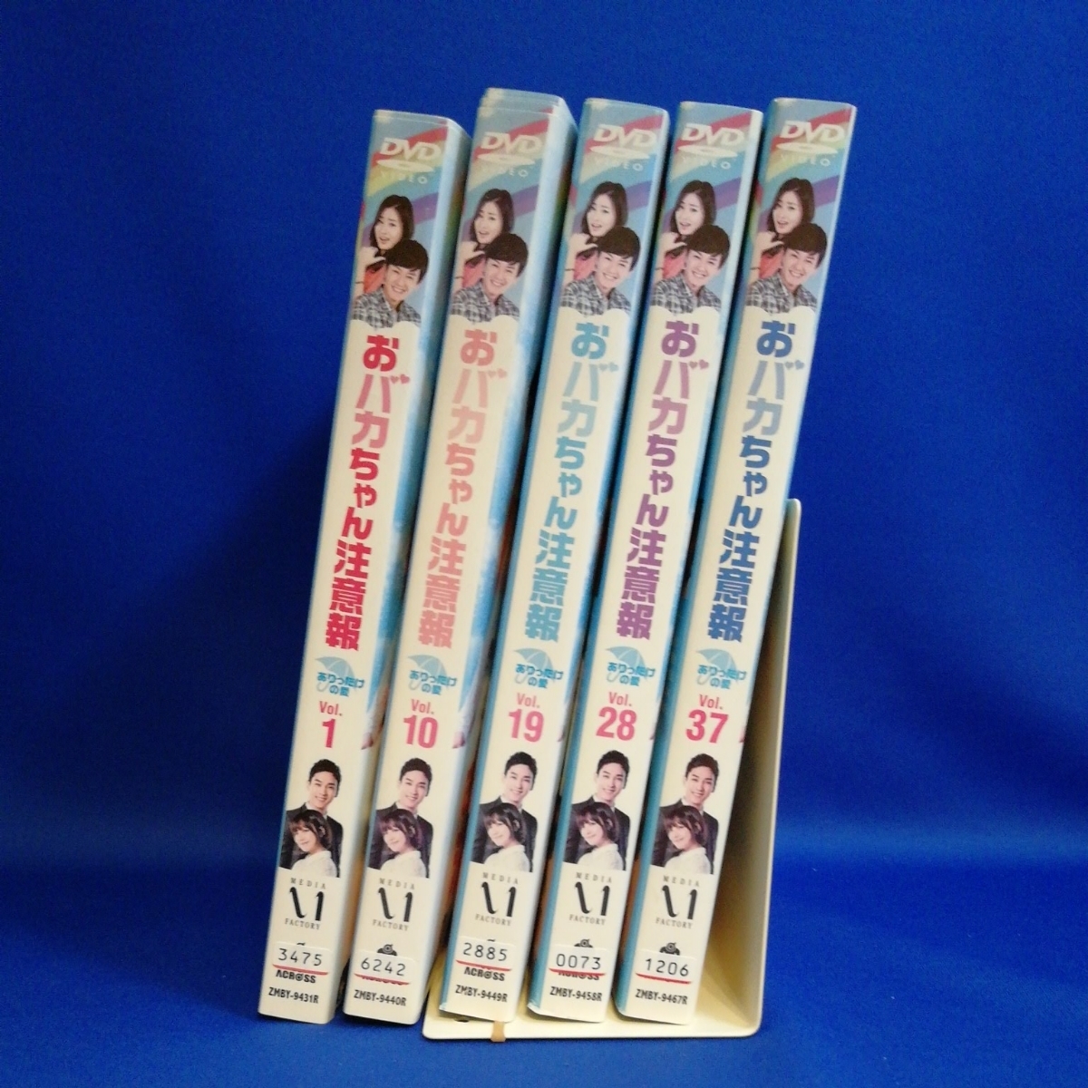 おバカちゃん注意報 ~ DVD 全44巻 おバカちゃん注意報～ありったけの愛