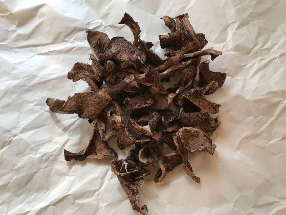 乾燥香茸　概ねA等級　300g以上　オマケ付き 乾燥 コウタケ 香茸 50gx2袋 雲南産 鹿茸 天然きのこ サイズ不揃い