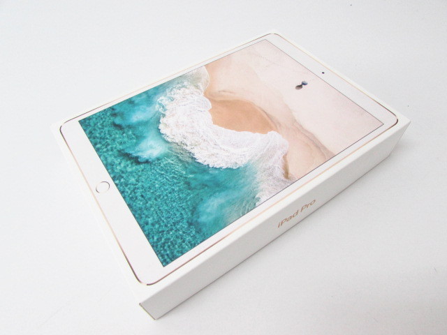 iPad pro 10.5インチ 256GB ジャンク品 ジャンク扱いiPad Pro10.5