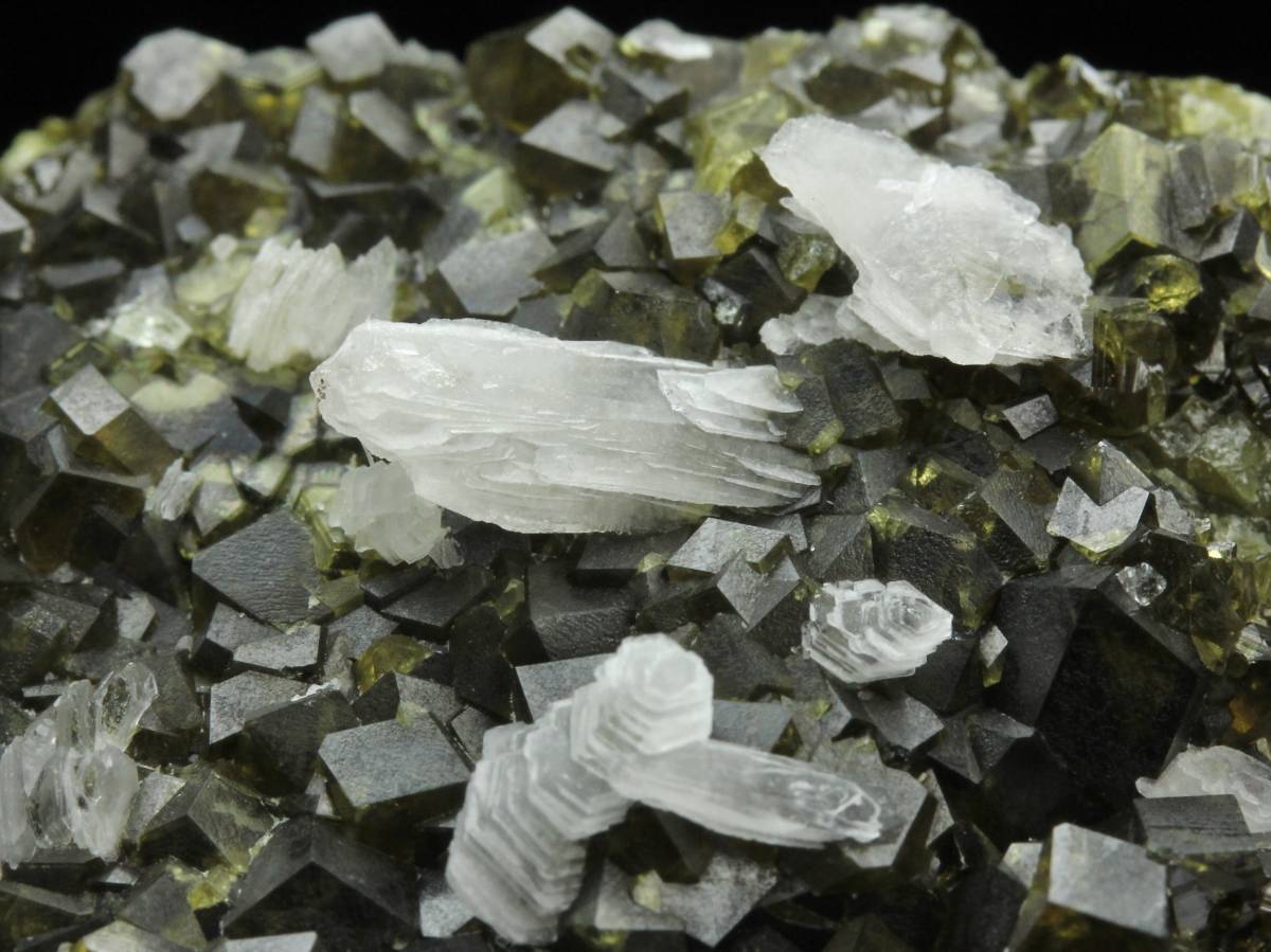 ロシア 灰鉄柘榴石 鉱物標本販売店 - ダルネゴルスク産 ⁄ (Andradite 