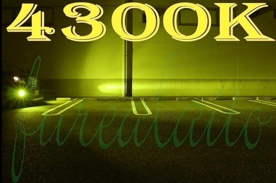 ロイヤルガード 走行中2色変更可能 12000LM LED フォグ H8 H11 H16 HB4