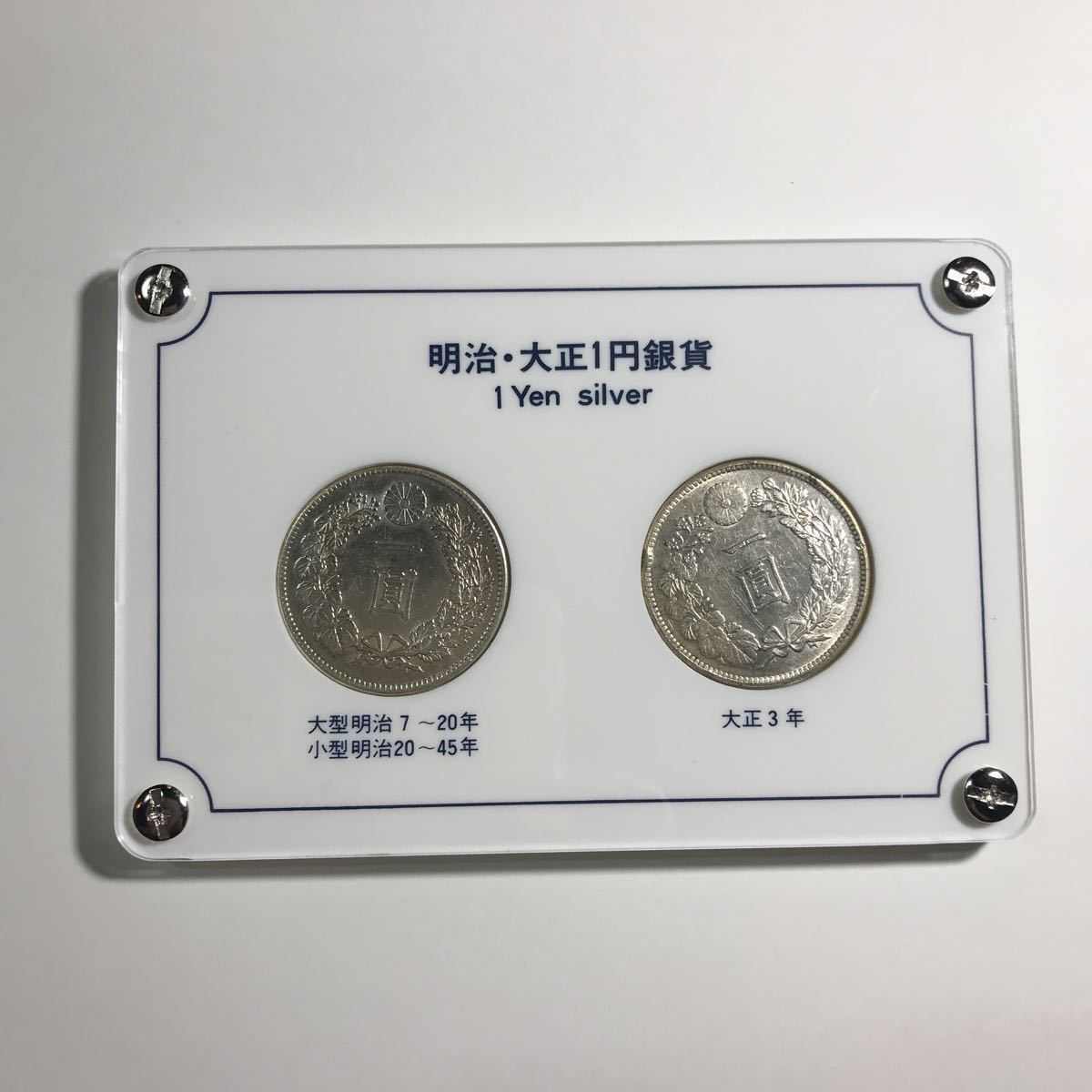 インペリアルゼブラプレコ(F1) ☆ 8cm オス インペリアルゼブラ 