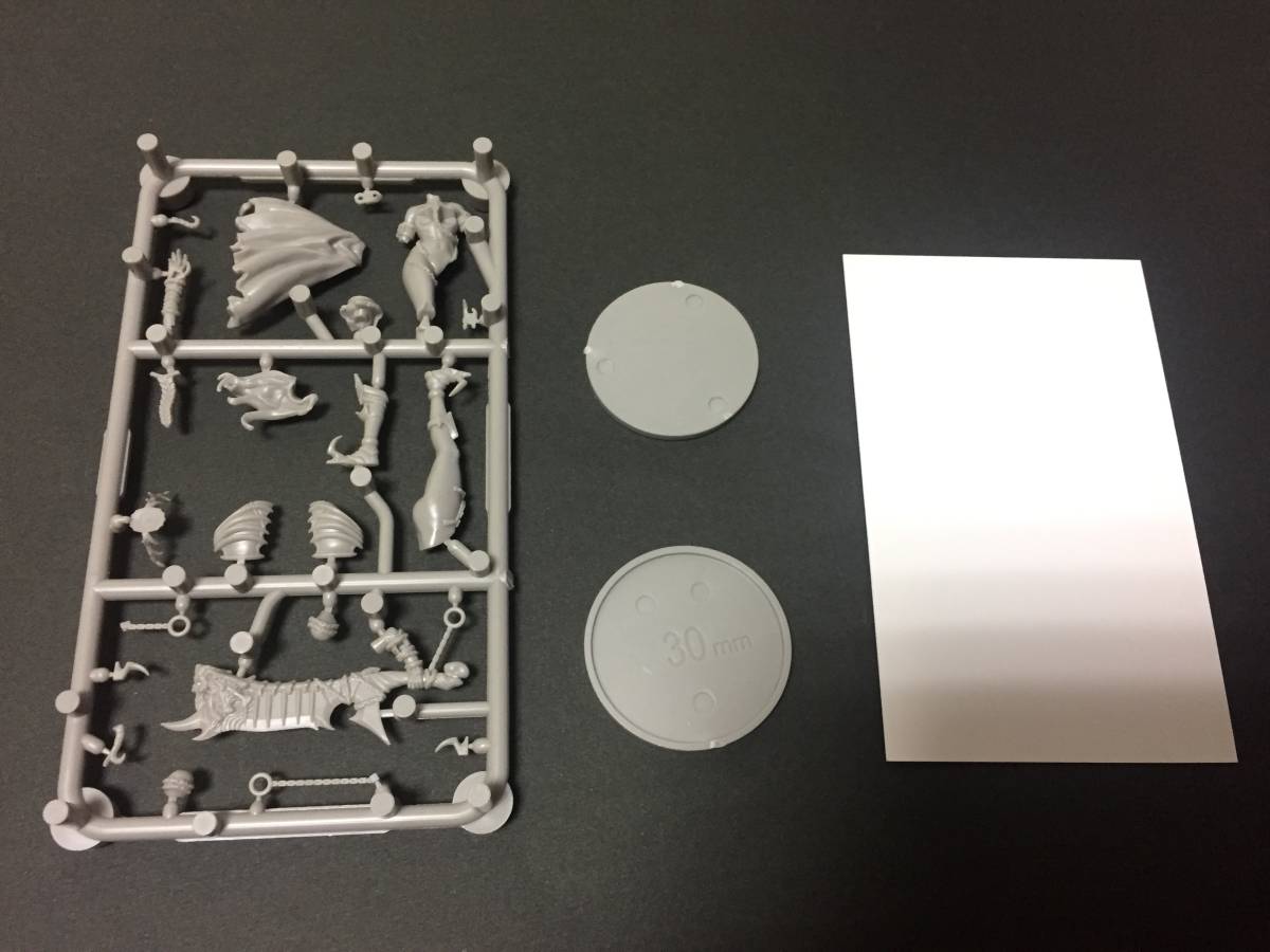 キングダムデス Kingdom Death Pinup Forsaker ピンナップ フォーセイカー プラ製 Trpg 売買されたオークション情報 Yahooの商品情報をアーカイブ公開 オークファン Aucfan Com