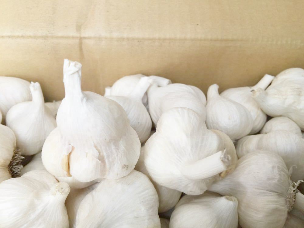 青森県産にんにくS.M混合サイズ3kg 訳あり品_1