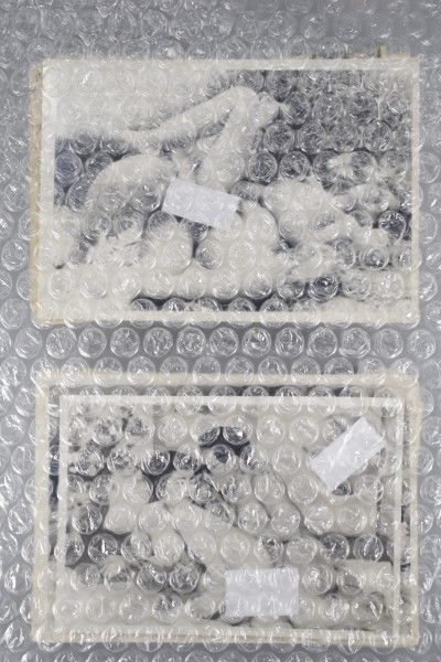 古写真 ヌードモデル 貴重資料 白黒 アート 美術 風俗 春画 全て日本 100枚 温泉土産 MA-45