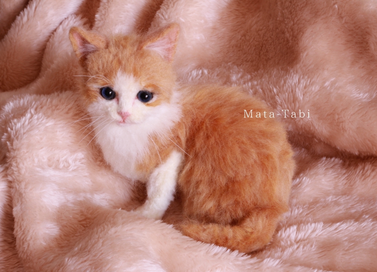 羊毛フェルト 猫 | funwari 羊毛フェルト茶トラ猫の通販 茶トラ白 茶