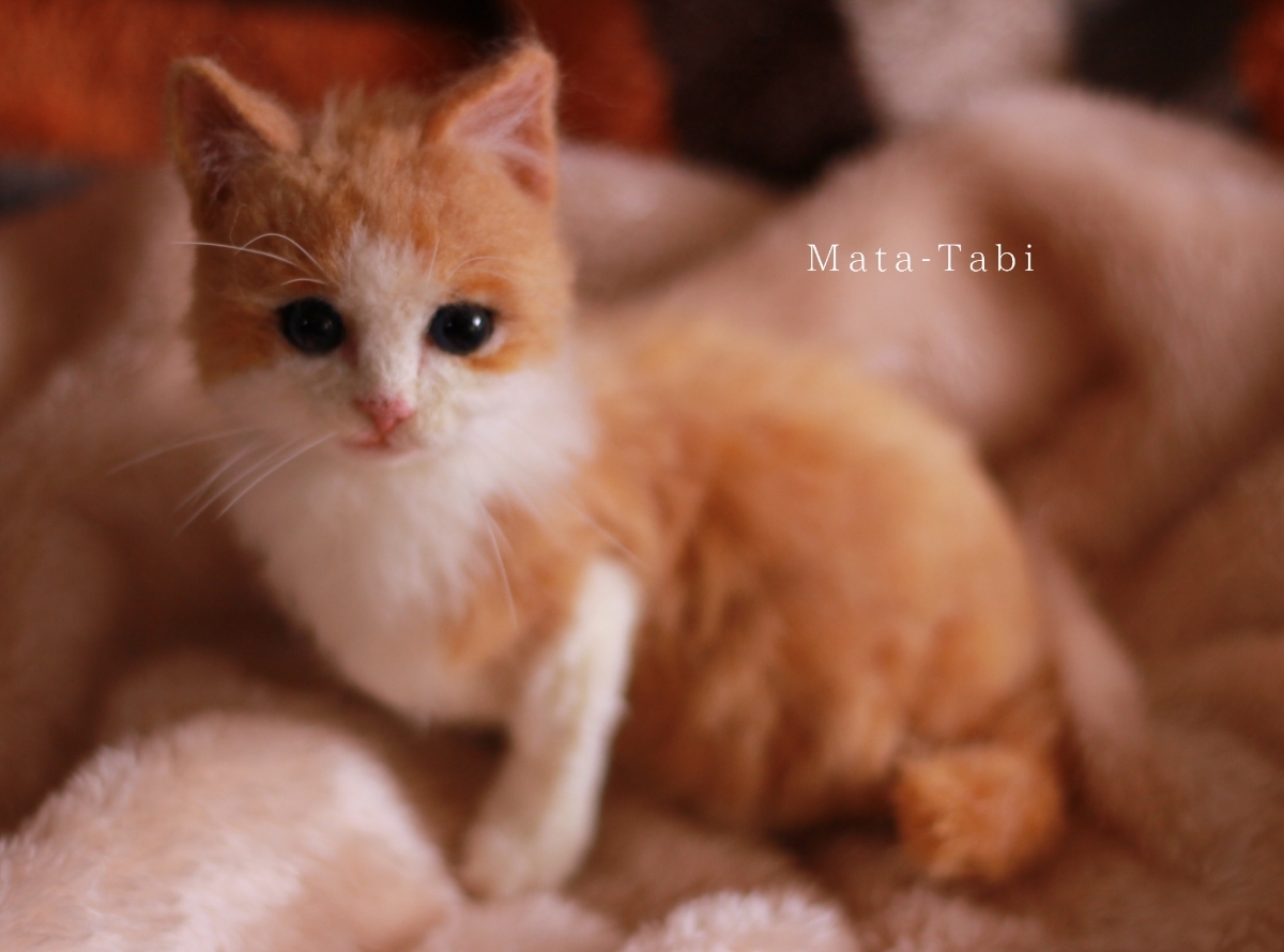 羊毛フェルト 猫 | funwari 羊毛フェルト茶トラ猫の通販 茶トラ白 茶