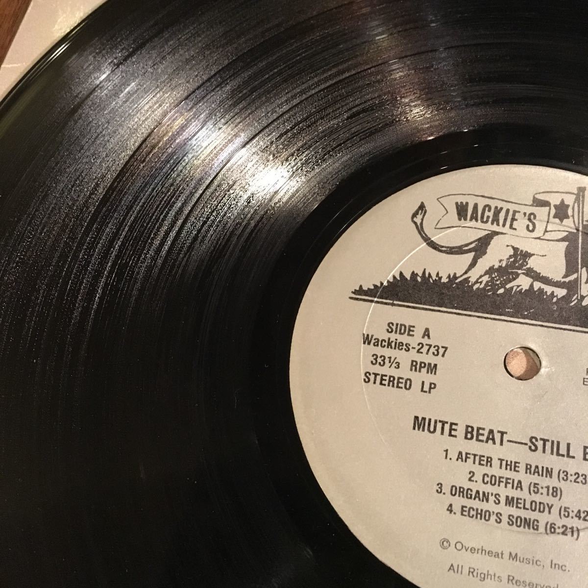 Mute Beat Still Echo Wackie’s 小玉和文 屋敷豪太 very rare! レゲエ レコード