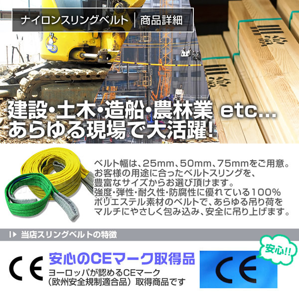 ナイロンスリングベルト 荷上げ 耐荷1.6t 50mm×3m 10本セット