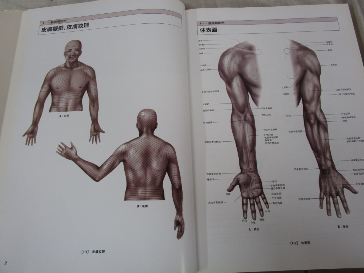 整形外科医のための手術解剖学図説 第5版 整形外科医のための手術解剖学図説