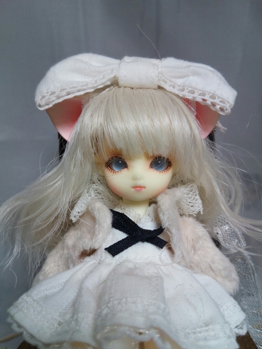 中古 ブラウニーカスタム 子猫