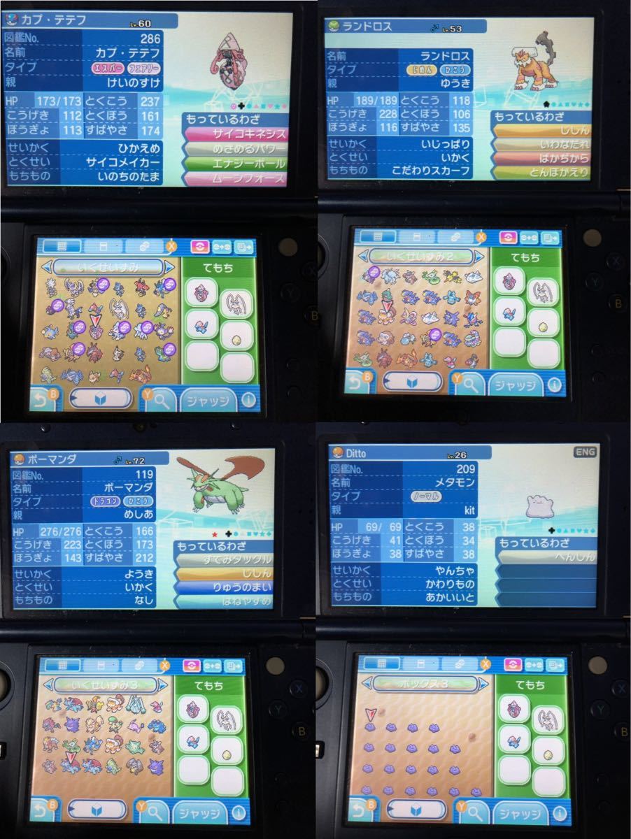 ポケットモンスター 即購入OK ウルトラ - コンプリートセーブデータ