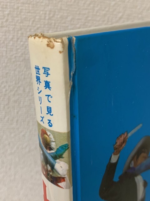 レインボーマン図鑑 A101 1973年 昭和48年 当時物 秋田書店 冒険 水谷邦久⁄