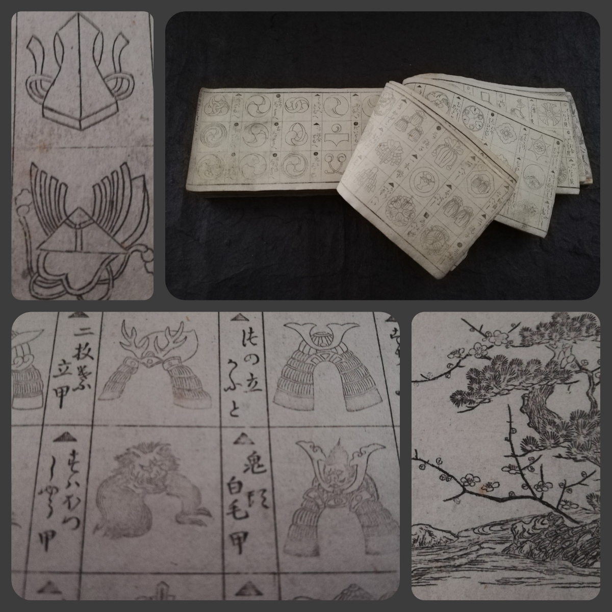 2026年最新Yahoo!オークション -館林源右衛門 皿の中古品・新品・未