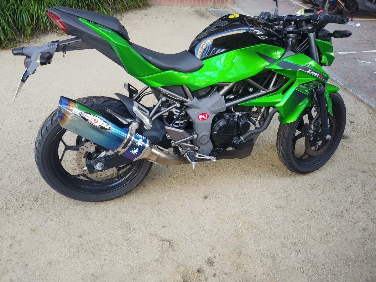 Z250SL NASSERT-R Evolution Ninja250SL (ブルーチタンサイレンサー