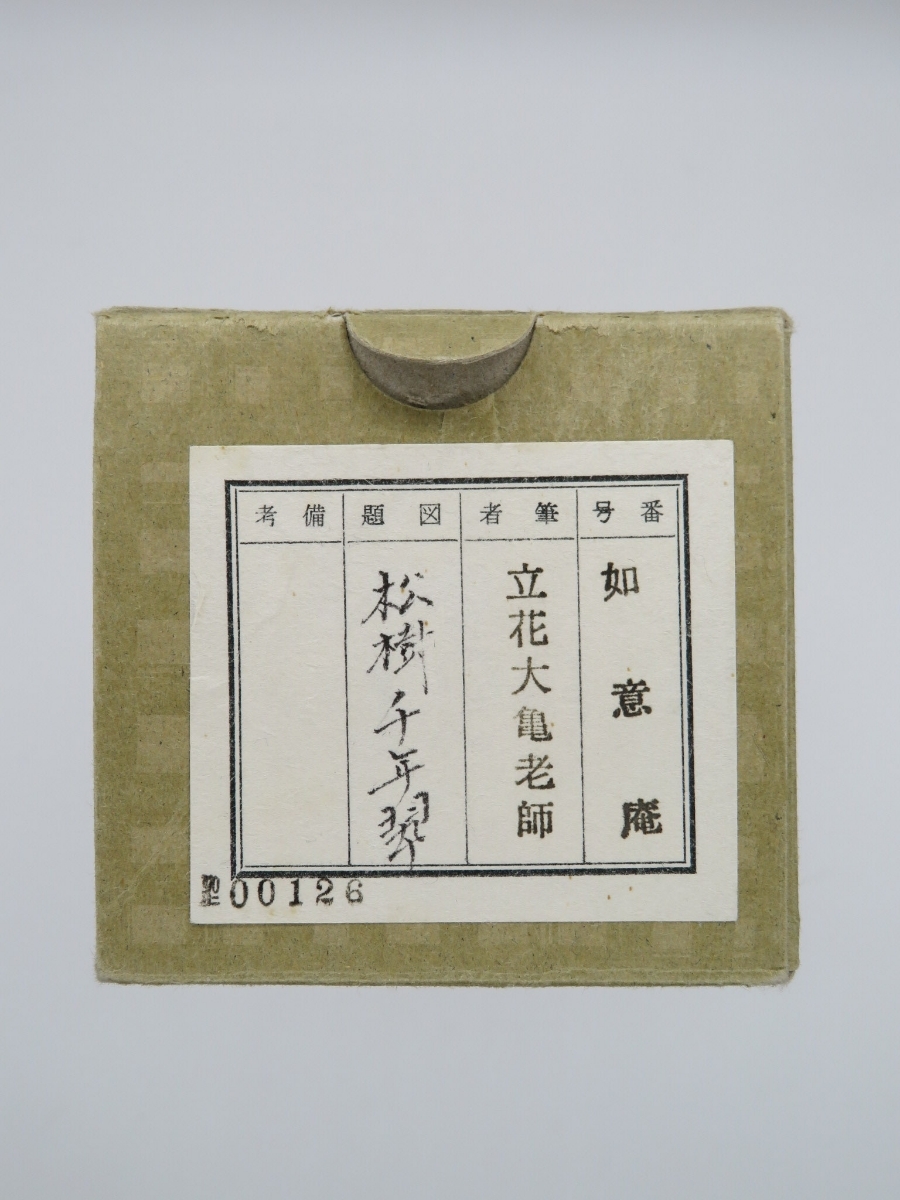 人気販売 茶掛 大徳寺派 管長 【立花大亀】 自筆一行書 『松樹千年翠