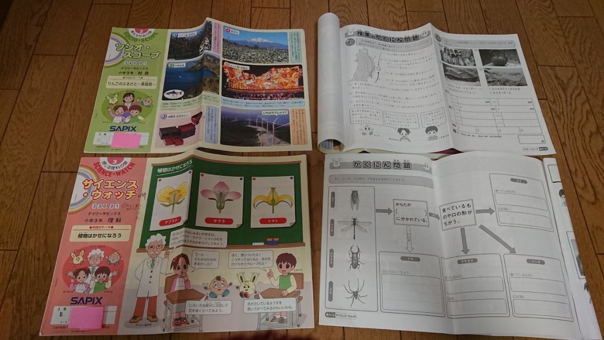 サピックス SAPIX 小3 2014年3年生4科目デイリーテキスト・夏冬講習