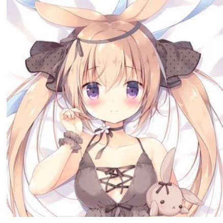 羽瑠ちゃん 正規品 抱き枕カバー(宮坂みゆ) C97⁄CANVAS+GARDEN