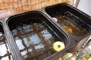 【人気定番，大得価】 めだか 飼育容器 21L 10個セット ￥9700 検 三色 ラメ 幹之 紅白 ダルマ 黒ラメ 個体(めだか)｜売買されたオークション情報、yahooの商品情報をアーカイブ公開 - オークファン めだか