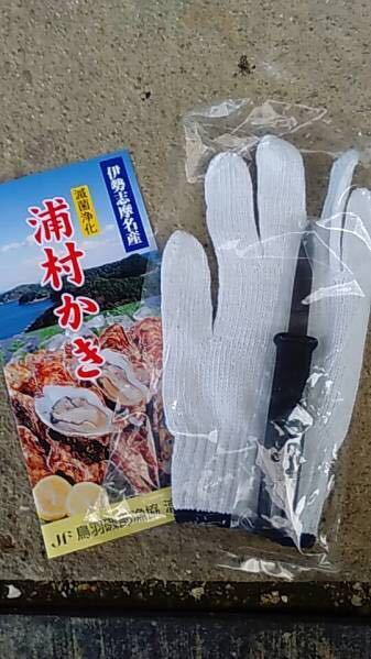 【100%新品，格安】 マル勇水産 伊勢志摩 名産 浦村 牡蠣　生食可　Mサイズ　殻付き100個セット (5人以上～大人数向け）　カキかき　牡蠣 お取り寄せ oyster 1