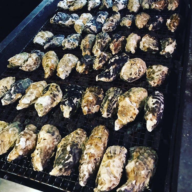 【100%新品，格安】 マル勇水産 伊勢志摩 名産 浦村 牡蠣　生食可　Mサイズ　殻付き100個セット (5人以上～大人数向け）　カキかき　牡蠣 お取り寄せ oyster 1