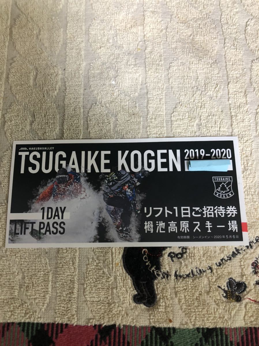 数量限定，本物保証 栂池高原スキー場 リフト1日ご招待券 1枚のみ(信越)｜売買されたオークション情報、yahooの商品情報をアーカイブ公開 - オークファン 信越