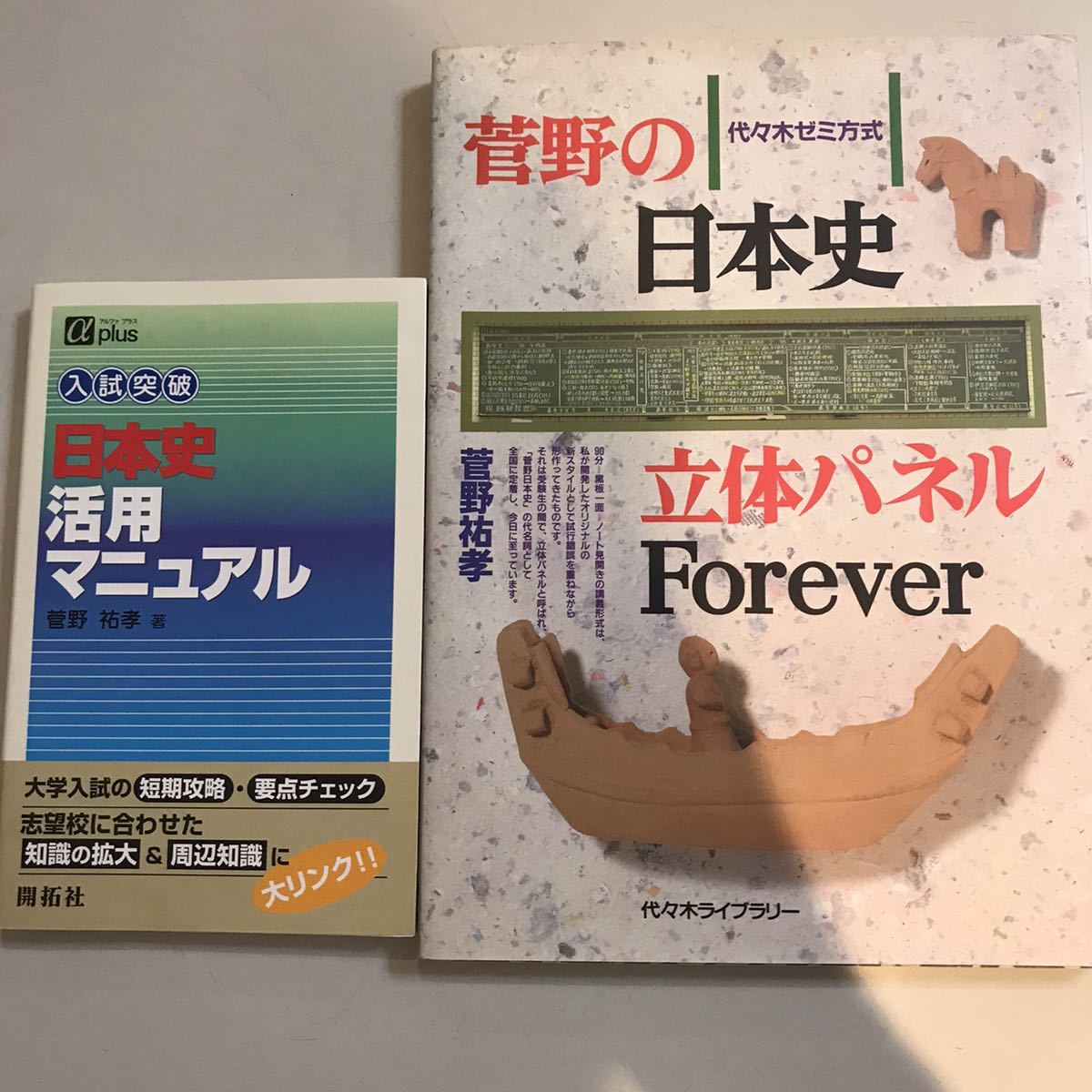 菅野の日本史B講義録 菅野祐孝 早慶私大 立体パネル講義版 代々木