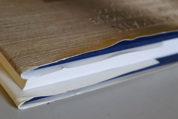 カウンターストレイン オステオパシーの技 全日本オステオパシー