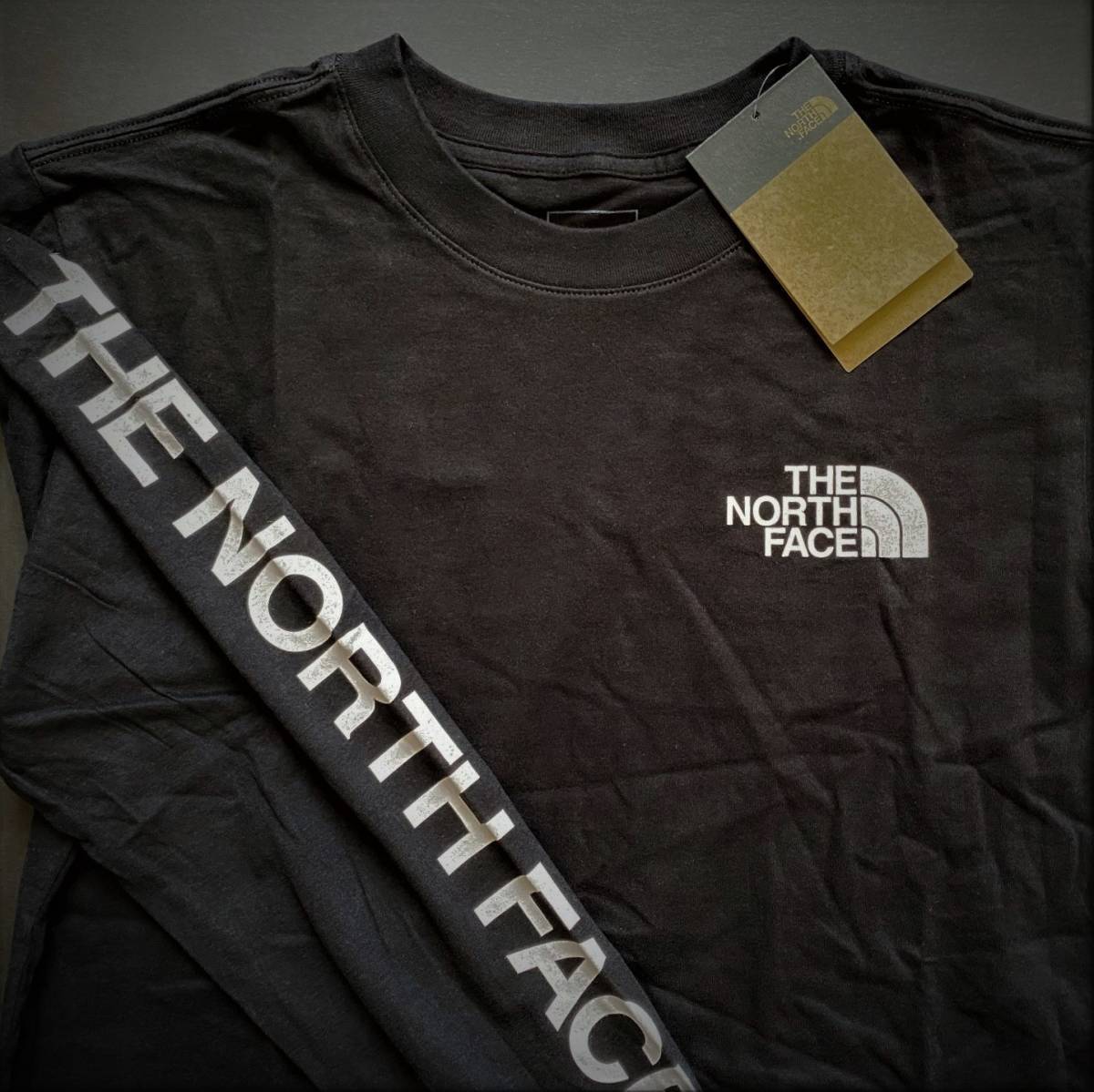 NORTH THE ノースフェイス FACE Tシャツ ザ S&frasl;S ロゴ Dome ハーフ アメリカ - ザ・ノース・フェイス 半袖Tシャツ プリントT FACE&frasl;ザ・ノース