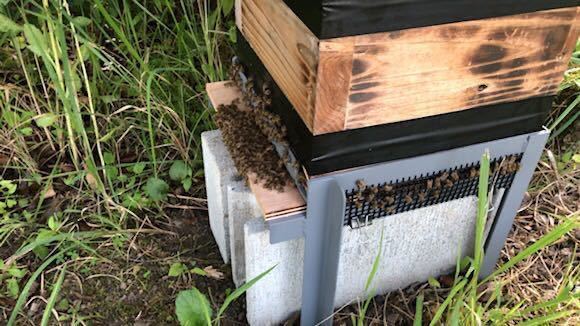 週末の養蜂 巣箱用鉄製台 ニホンミツバチ_6