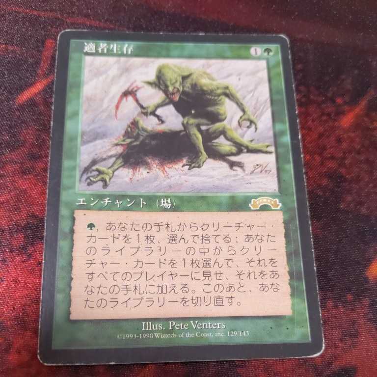 週末値下げ！】MTG 適者生存 日本語 適者生存 日本語 MTG MTG 適者生存