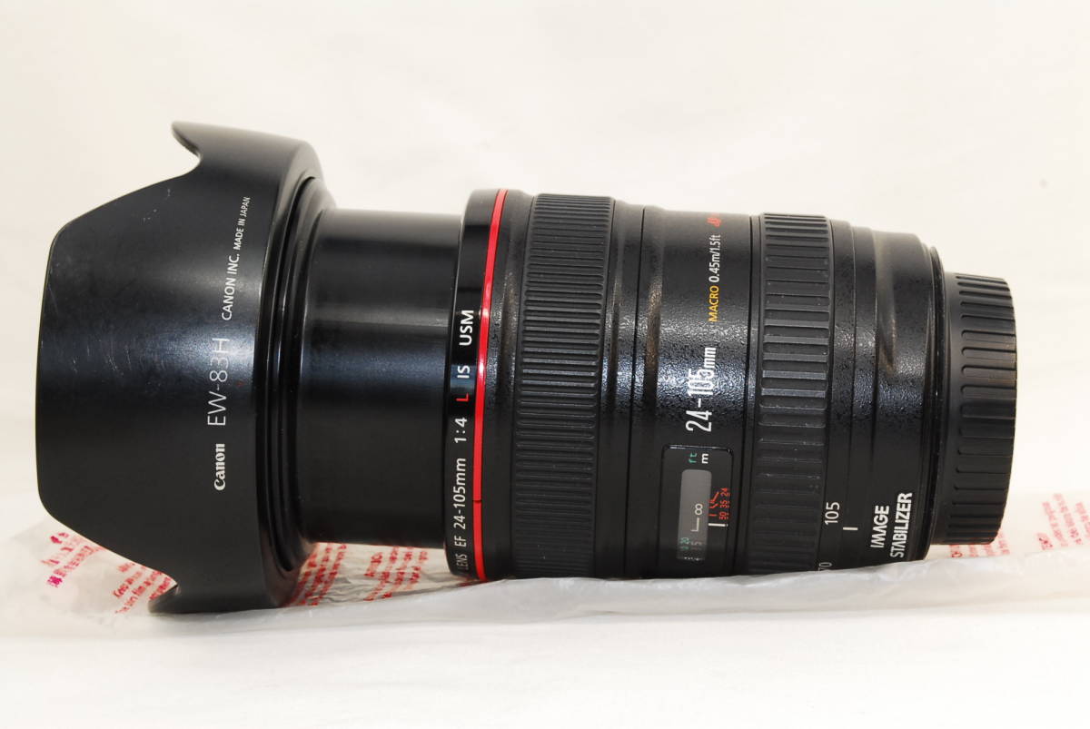 Canon USM 24-105mm Lens IS EF f⁄4 II f⁄4L L Review