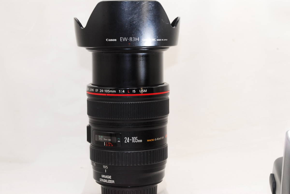 Canon USM 24-105mm Lens IS EF f⁄4 II f⁄4L L Review