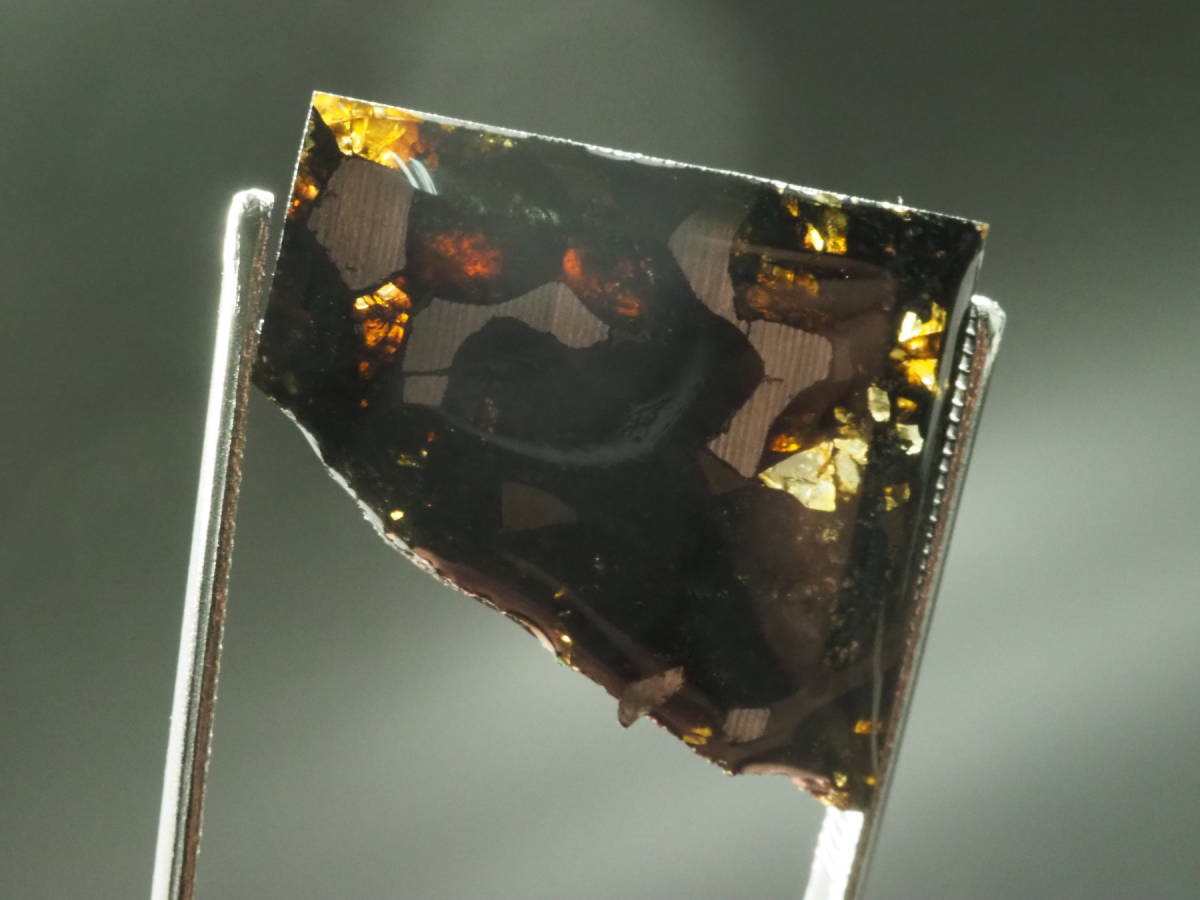 ケニア産 セリコパラサイト隕石 ⁄ Sericho Pallasite Meteorite 特大