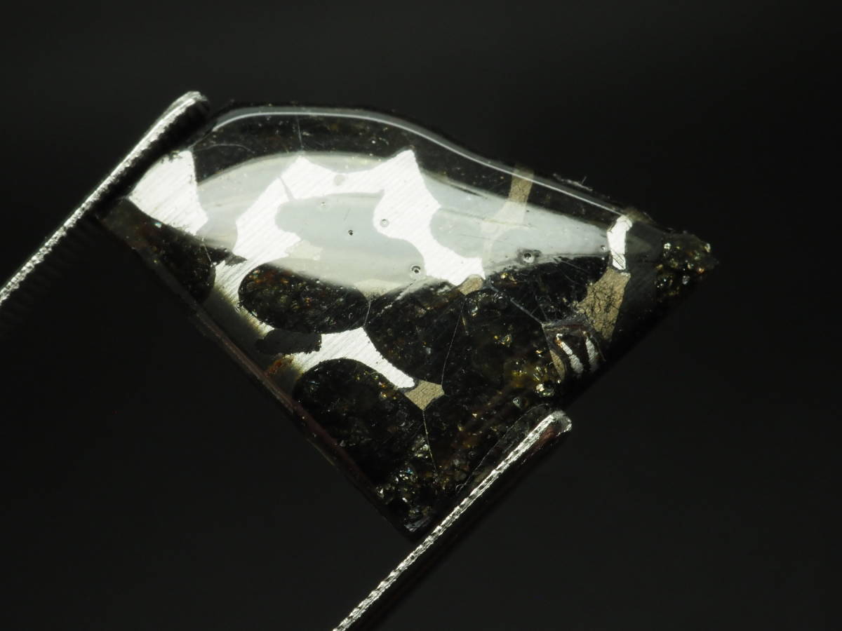 ケニア産 セリコパラサイト隕石 ⁄ Sericho Pallasite Meteorite 特大 