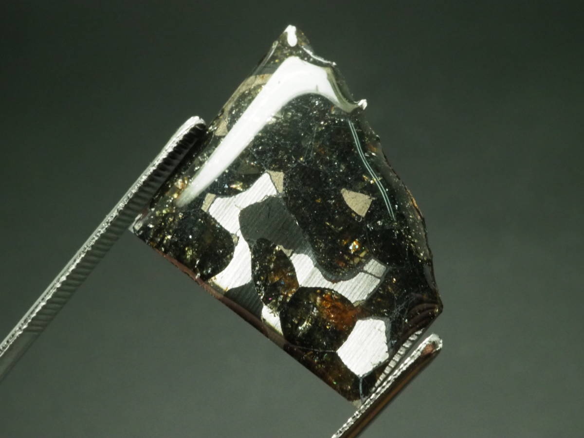 ケニア産 セリコパラサイト隕石 ⁄ Sericho Pallasite Meteorite 特大