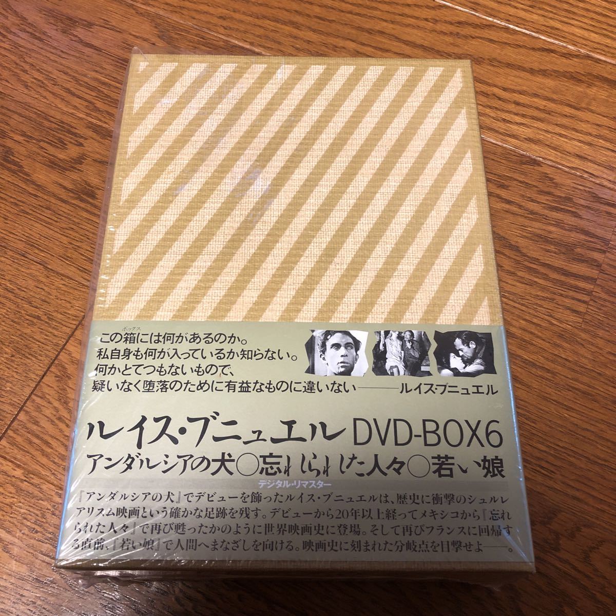 ルイス・ブニュエル DVD-BOX6 アンダルシアの犬 忘れられた人々 若い娘