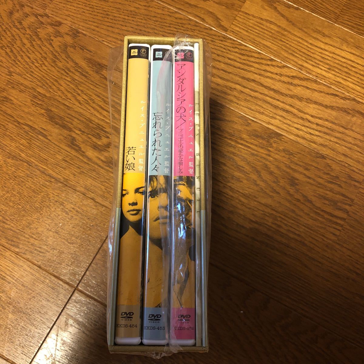 ルイス・ブニュエル DVD-BOX6 アンダルシアの犬 忘れられた人々 若い娘
