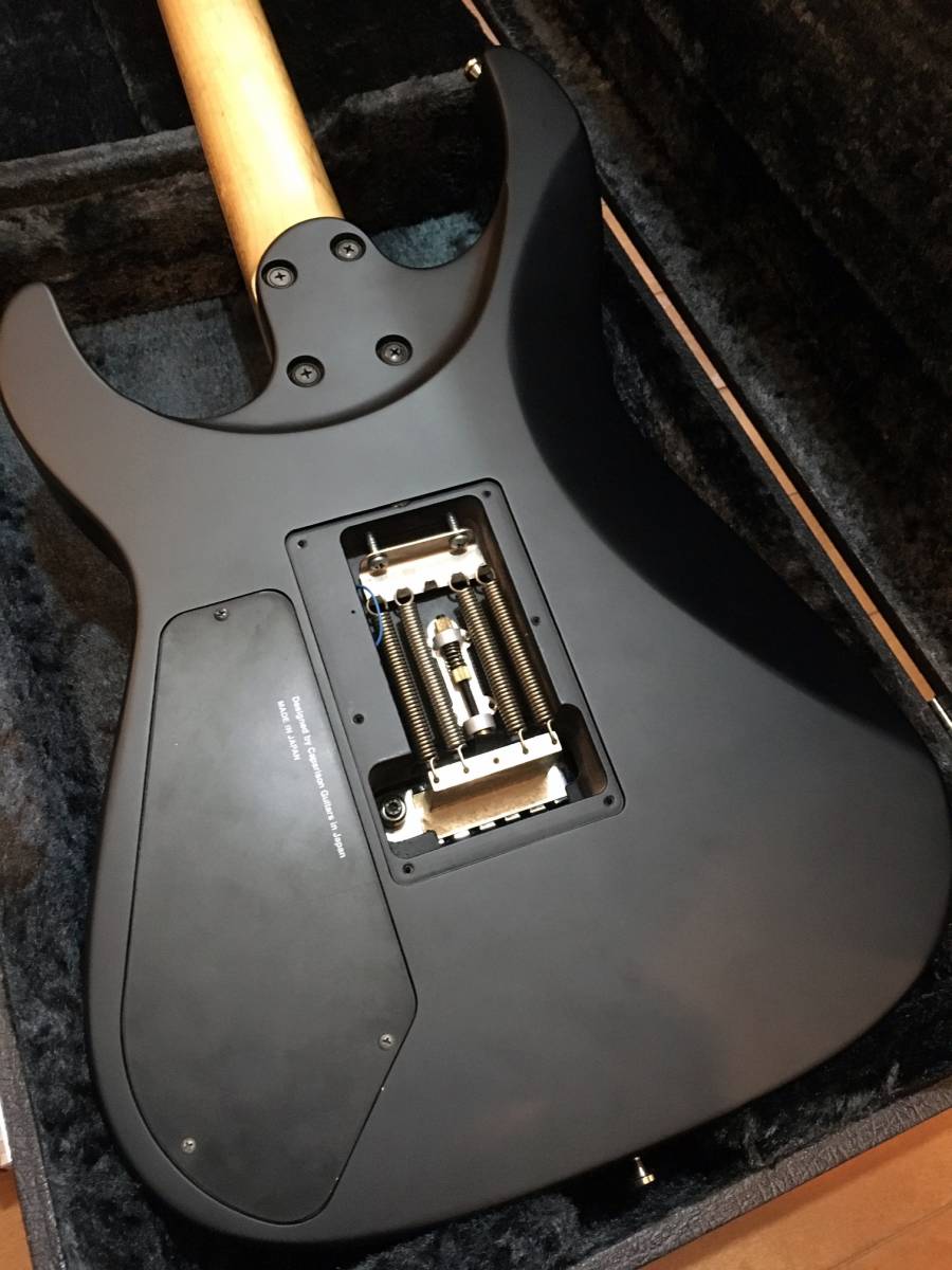 Caparison Dellinger CA キャパリソン Christopher Amott