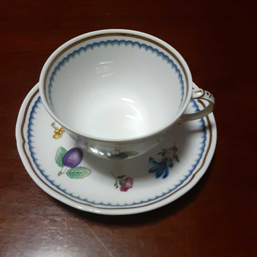 カップ&ソーサー リチャードジノリ _2