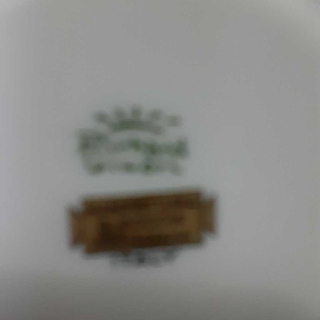 カップ&ソーサー リチャードジノリ _4