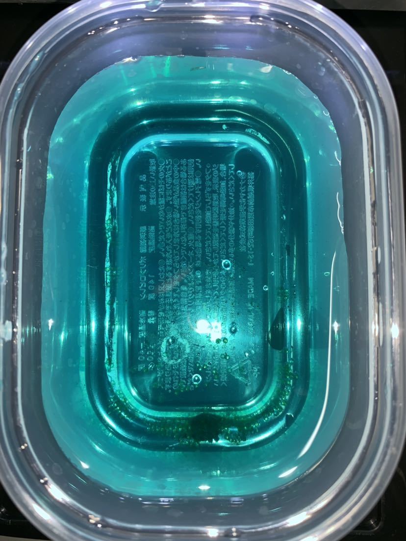 メダカたまご(三色体外光・三色透明鱗・三色非透明鱗・ヒレ長幹之・東天光・紅白透明鱗・百式・鳳凰・黒鱗・夜桜・三色ラメ・琥珀ラメ)_5