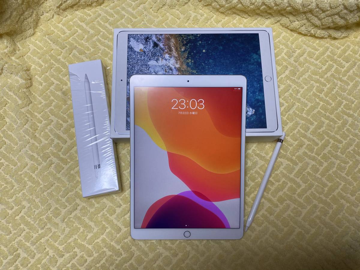 美品iPad Pro 10.5インチ シルバー SIMフリー Cellular+WiFi 256GB